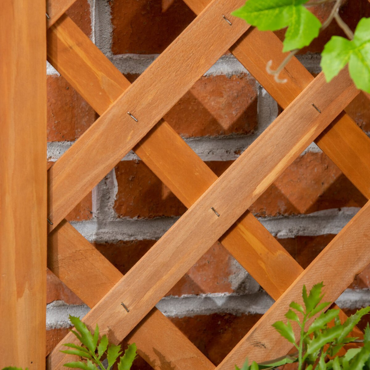 Medinė augalų dėžė su kampiniu spalieru ir drenažo anga – Paveikslėlis 7