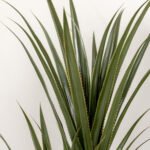 Realistiška 190 cm aukščio dirbtinė juka vazone – Paveikslėlis 9