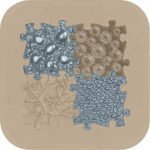 Sensorinių ortopedinių pėdų masažo kilimėlių rinkinys