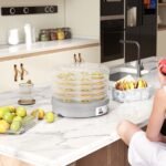 5 padėklų maisto džiovyklė su reguliuojama temperatūra – Paveikslėlis 2