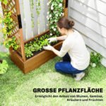 Aukšta medinė lysvė su atraminėmis grotelėmis ir stogeliu – Paveikslėlis 4