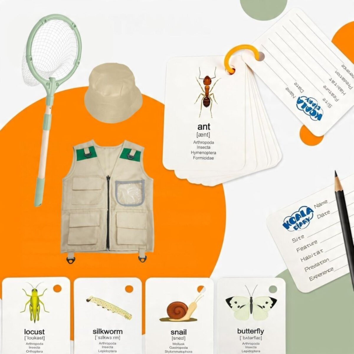 Jaunojo tyrinėtojo gamtos rinkinys – Paveikslėlis 11