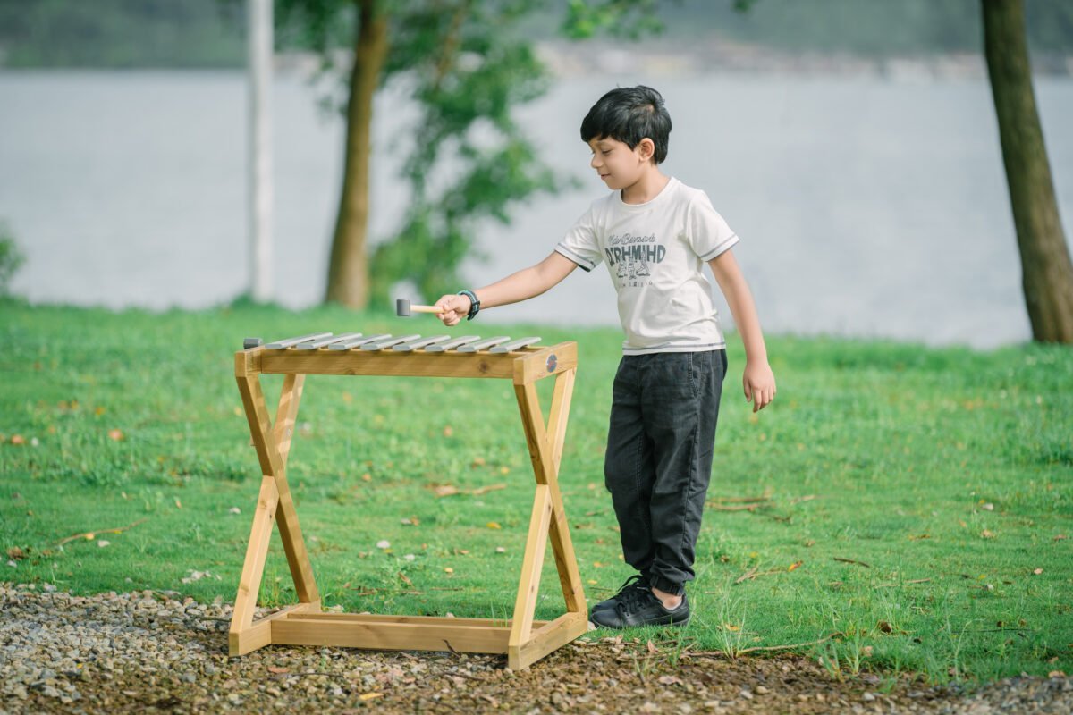 Medinis lauko metalofonas su lazdelėmis – Paveikslėlis 6