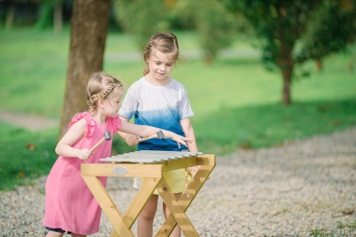 Medinis lauko metalofonas su lazdelėmis – Paveikslėlis 8