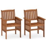 Medžio masyvo lauko kėdės su porankiais (2 vnt.) (Natūrali)