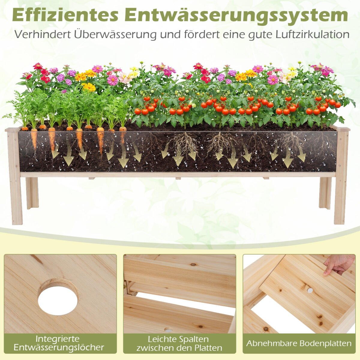 Paaukštinta eglės medžio lysvė su dviem sodinimo skyriais (Natūrali) – Paveikslėlis 4