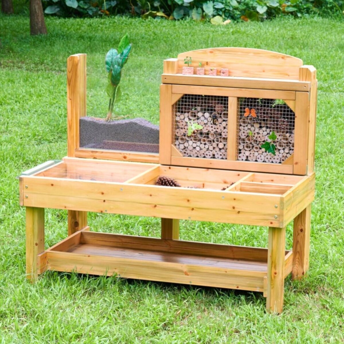 Sodo stalas vabzdžiams ir gamtai tyrinėti – Paveikslėlis 2