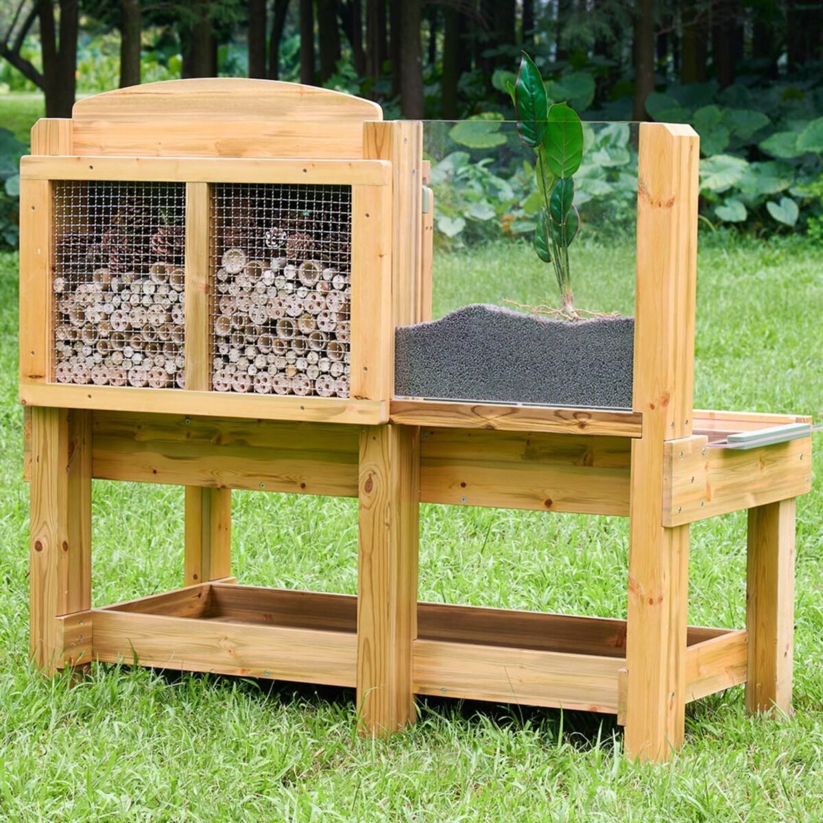 Sodo stalas vabzdžiams ir gamtai tyrinėti – Paveikslėlis 3