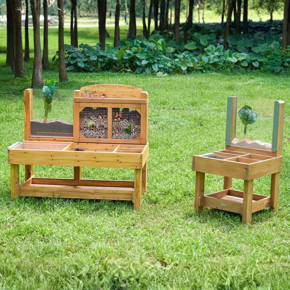 Sodo stalas vabzdžiams ir gamtai tyrinėti – Paveikslėlis 7