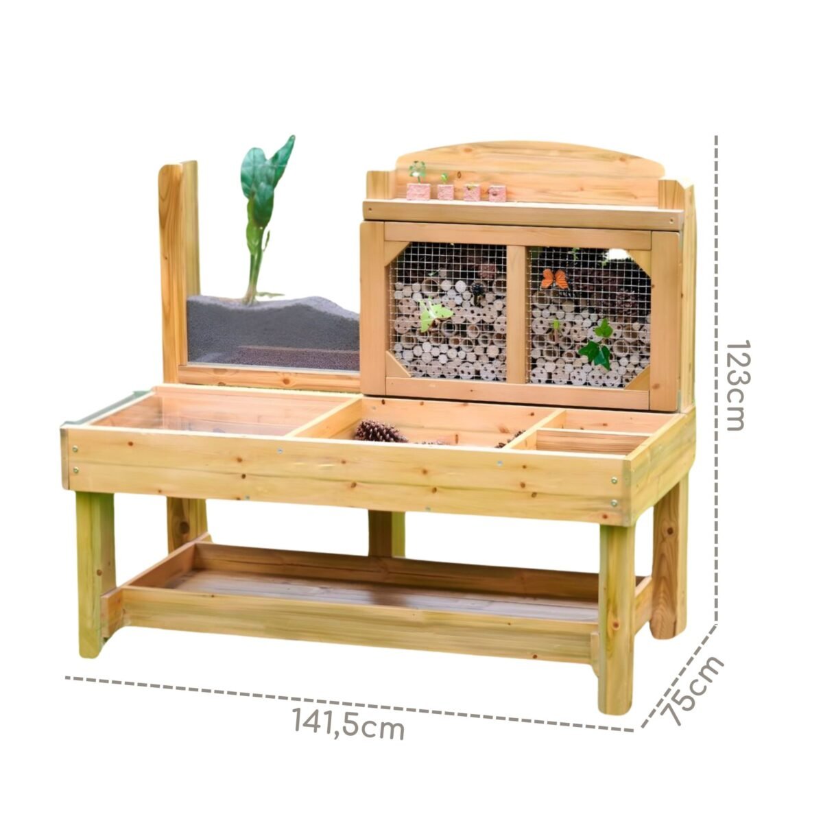 Sodo stalas vabzdžiams ir gamtai tyrinėti – Paveikslėlis 8