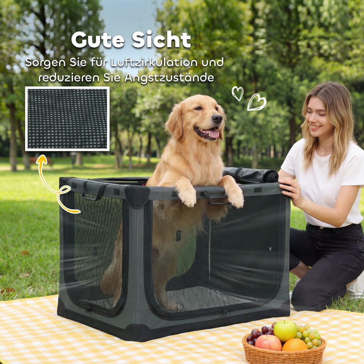 Sulankstoma šunų transportavimo dėžė su plaunamu kilimėliu – Paveikslėlis 6