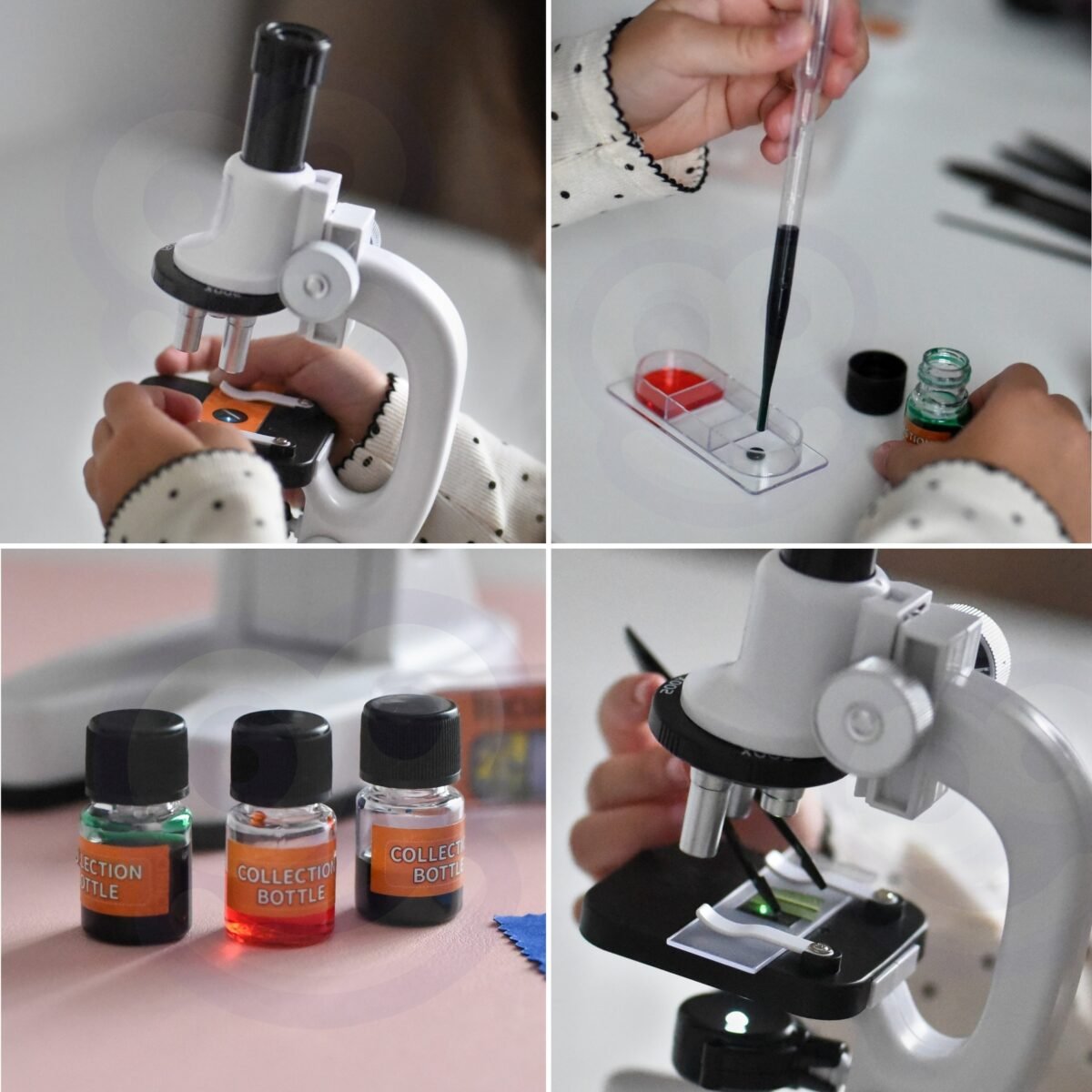 Vaikų mikroskopo rinkinys su iki 1200x didinimu ir telefono adapteriu – Paveikslėlis 6