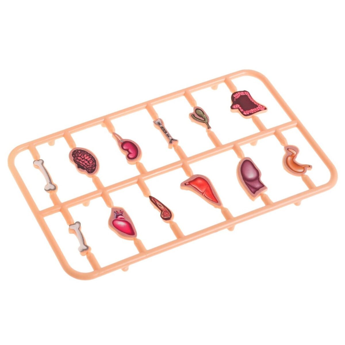 Vikrumo žaidimas: daktaro operacija – Paveikslėlis 7