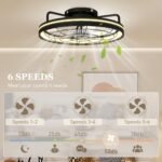 Lubinis ventiliatorius su LED šviestuvu, nuotolinio valdymo pulteliu ir 3 šviesos temperatūromis