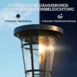 Reguliuojamo aukščio solarinių lauko žibintų rinkinys (2 vnt.) su dviem ryškumo režimais – Paveikslėlis 4