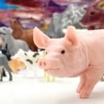 Ūkio gyvūnų figūrėlių rinkinys kibirėlyje su kilimėliu – Paveikslėlis 8
