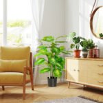 Dirbtinis augalas Dieffenbachia 95 cm, vidaus/lauko, su cementiniu vazonu – Paveikslėlis 7