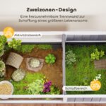 Medinis vėžlių aptvaras su paaukštinimu, atskirtomis zonomis ir permatomu langu – Paveikslėlis 4