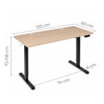Elektrinis stalas 120x60 cm su 72-118 cm aukščio reguliavimu, šviesaus ąžuolo – Paveikslėlis 10