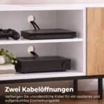 TV spintelė iki 55 colių, su reguliuojamomis lentynomis – Paveikslėlis 7