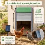 Automatinės vištidės durelės su saulės baterija ir laikmačiu (Sidabrinė) – Paveikslėlis 3