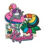 Splat Planet kūrybinis modelino rinkinys su mediniais Tropikų gyvūnais – Paveikslėlis 5