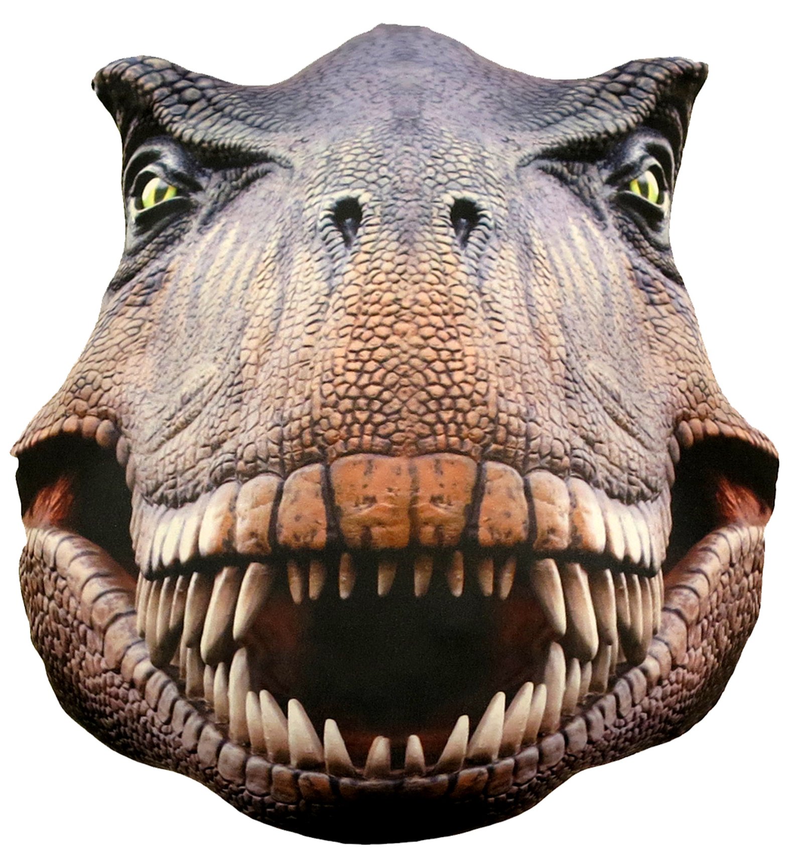 Splat Planet pagalvėlė-suvenyras DINOZAURAS Splat Planet pagalvėlė-suvenyras DINOZAURAS