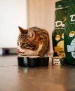 Visavertis begrūdis pašaras suaugusioms katėms su vištiena / 1,75 kg – Paveikslėlis 4