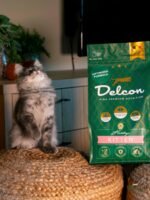 Visavertis pašaras mažiems kačiukams ir besilaukiančioms katėms KITTEN, 1.75 kg – Paveikslėlis 6