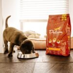 didelių veislių šunims / 3 kg
