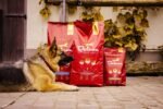 Visavertis pašaras suaugusiems šunims REGULAR PLUS su ėriena / 12 kg – Paveikslėlis 2