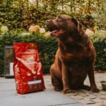 turintiems padidėjusį svorį LIGHT / 3 kg