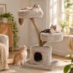 Katės draskyklė su nameliu ir trimis aukštais 105 cm (Chaki) – Paveikslėlis 2