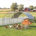 Vištidės voljeras su stogu, 2,8 x 3,4 x 1,9 m – Paveikslėlis 5